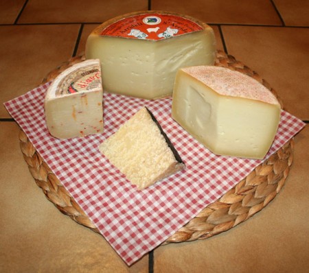 Pecorino